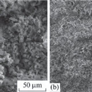 2 Microstructure of the cement materials with 40 wt% Mg 2+ substitution ...