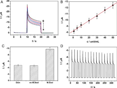 A Pec Response Of Bi 2 S 3 Ito In Detection Buffer After It Was