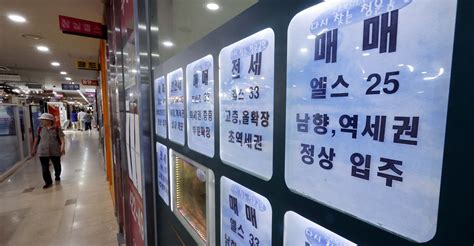 10개월째 매달 1000곳씩 폐업 ‘난리공인중개사무소 에 무슨 일 매일경제