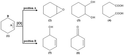 Hierarchical Zeolites Containing Vanadium Or Tantalum And Their