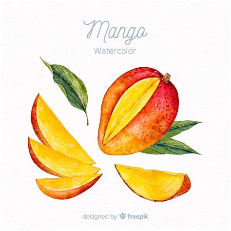 Free Vector Watercolor Mango Background