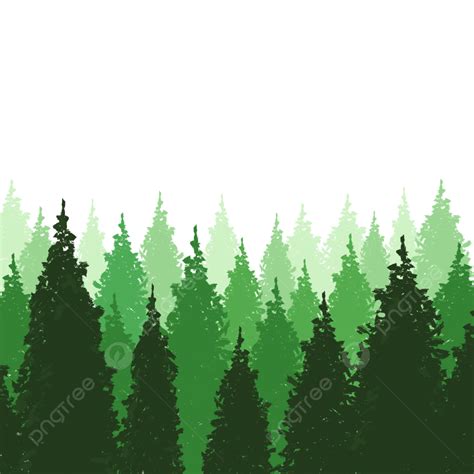 Bosque De Arboles Verdes Png Dibujos Arbol Hojas Perennes Bosque Png Images