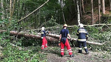 Feuerwehren im Einsatz Überschwemmungen umgestürzte Bäume Sturmtief