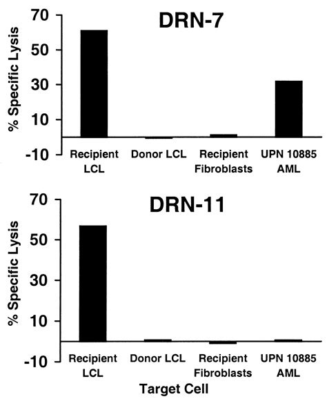 Cd8 Minor Histocompatibility Antigen Specific Cytotoxic T Lymphocyte