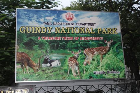 Exploring Guindy National Park A Natural Haven In Chennai