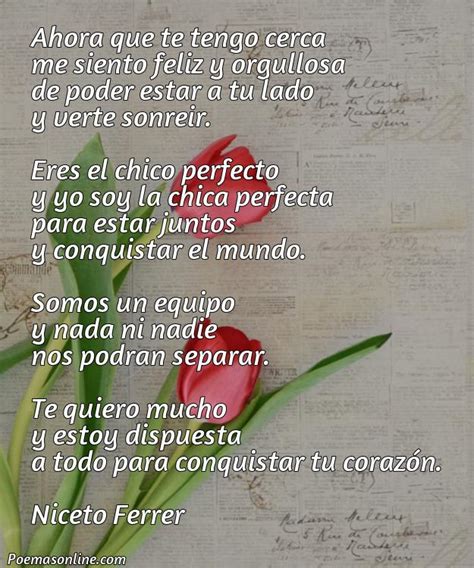 5 Mejores Poemas Para Conquistar A Tu Crush Poemas Online