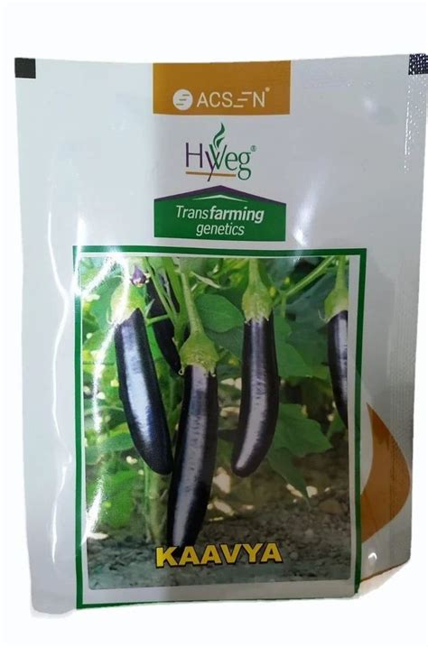 Hybrid F Kaavya Brinjal Seeds Packaging Type Packet Packaging Size