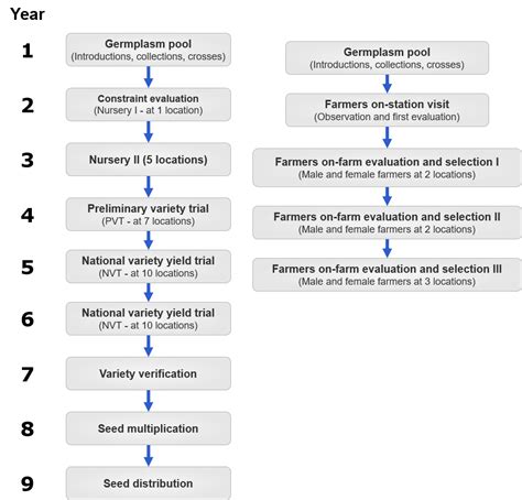 Chapter 7: Participatory Plant Breeding and Participatory Variety Selection – Crop Improvement