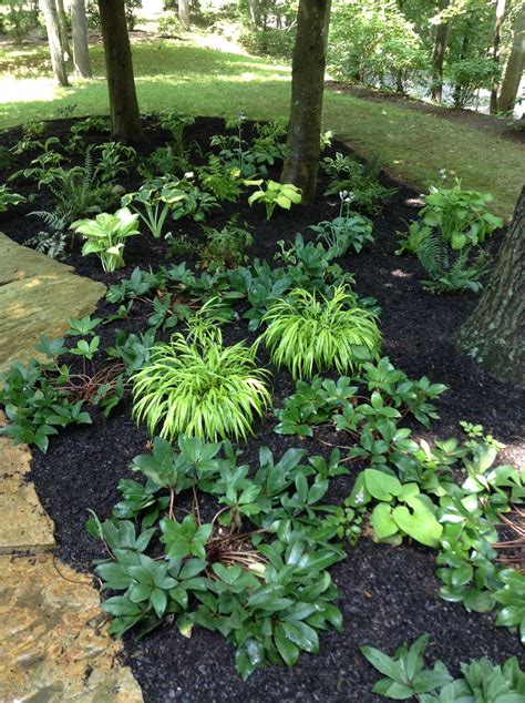 22 Corner Shade Garden With Hostas Ideas You Must Look Sharonsable