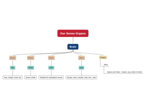 Our Sense Organs Mind Map