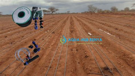 Drip Micro Irrigation In Kenya Aqua Hub Kenya