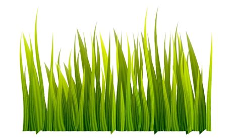 How To Create A Grass Banner In Adobe Illustrator