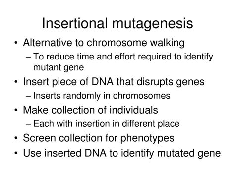 PPT Mutagenesis And Genetic Screens PowerPoint Presentation Free