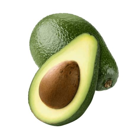 Buy Avocado In India Exotic Vegetables Supplier Jaywant Green Bliss Corporation