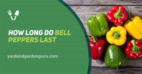 How Long Do Bell Peppers Last