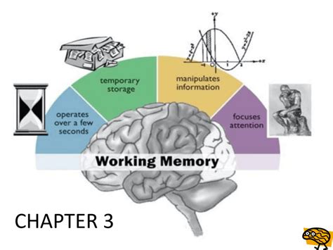 Working Memory