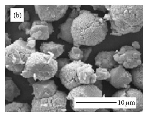 Scanning Electron Micrographs Of Synthesized Zeolites At Different