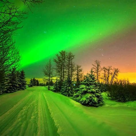 Snow Reflecting The Aurora Rpics