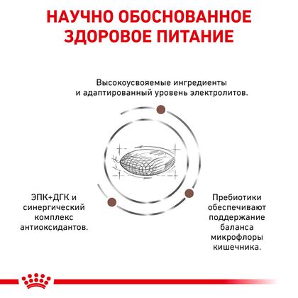 Royal Canin Gastro Intestinal Dog (Роял Канин Гастро интестинал) купить ...