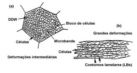 Representa O Da Microestrutura Do Estado Deformado A Deforma O