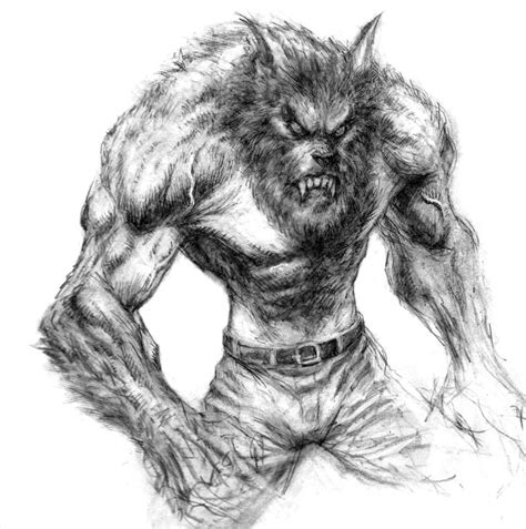 Werewoolf By Arjorda On Deviantart