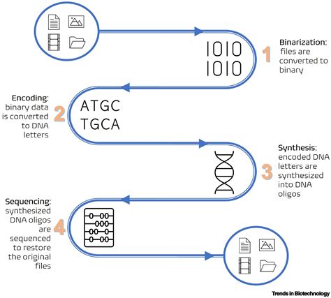 How To Make Dna Data Storage More Applicable Trends In Biotechnology