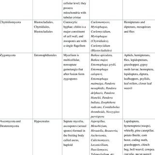 Pdf Entomopathogenic Fungi A Potential Source For Biological Control