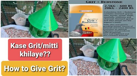 Grit Feeding How To Give Grit To Pigeons Versele Laga Grit In Kg