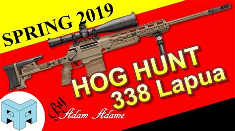 338 Lapua Hunting Hogs With My 338 Lapua 300 Blackout 458 Socom