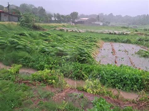 Pinsala Sa Agri Fisheries Sector Dulot Ng Bagyong Egay Pumalo Na Sa