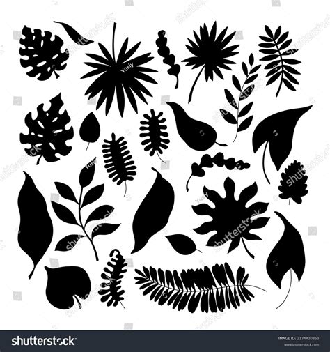 Set Silhouettes Tropical Leaves On White Stock Vector Royalty Free