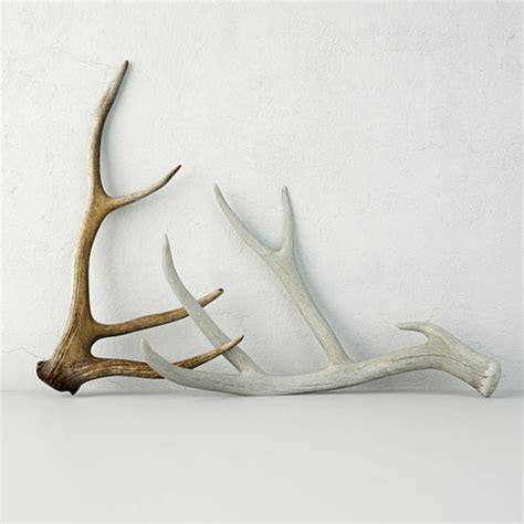 Deer Antlers 3d Model Cgtrader