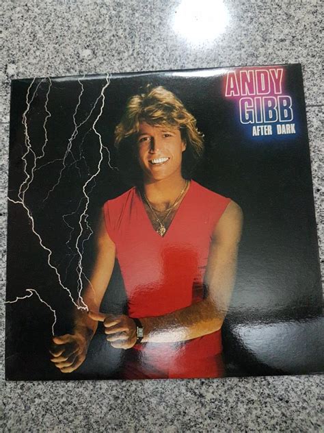 Andy Gibb After Dark Vinyl Lp Record Hobbies And Toys Music And Media