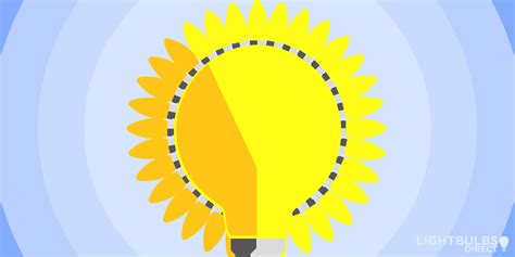 Choosing Daylight Light Bulbs | Lightbulbs Direct
