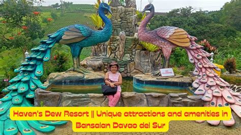 Haven S Dew Resort Unique Attractions And Amenities In Bansalan Davao