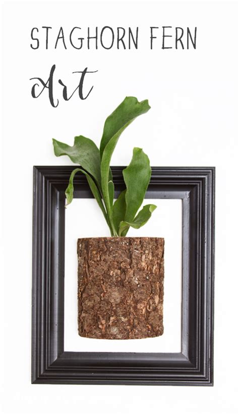 Staghorn Fern Wall Art | Not JUST A Housewife