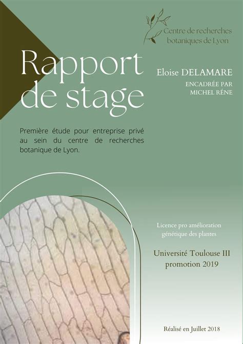 Exemple Introduction Rapport De Stage Artofit