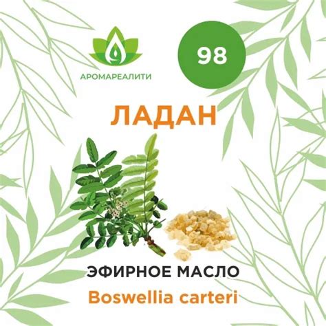 Ладан эфирное масло 5мл купить по цене 610 руб. в Аромареалити