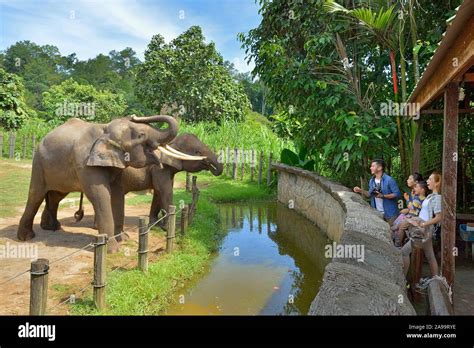 Lok Kawi Wildlife Park, Sabah, Malaysia Stock Photo - Alamy