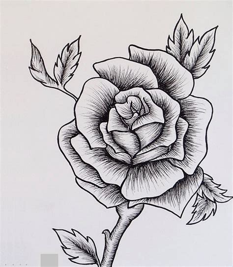 How You Could Draw An Easy Rose With Sketching Using Pen You Must Try