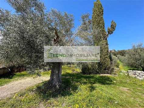 Vendita Terratetto Unifamiliare In Contrada Sant Oliva Pontecorvo