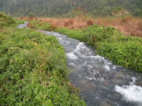 A S S A M Call Of Wild Udalguri