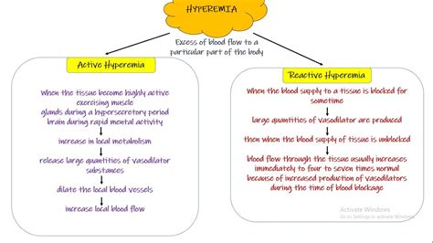 Hyperemia Respiratory Physiology Chapter 17 Part 4 Guyton And Hall