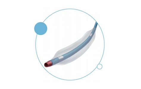 Gusta II NC PTCA Balloon Dilatation Catheter Meditrans Global