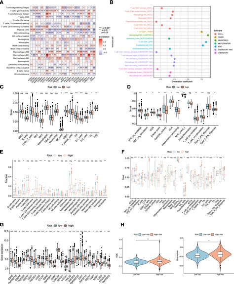 Frontiers Identification Of Necroptosis Related Subtypes Development Of A Novel Signature