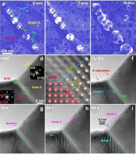 A C Time Resolved Bright Field Low Magnification TEM Images Showing