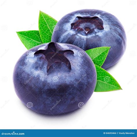 Two Blueberries With Leaves Isolated Stock Photo Image Of Blueberries