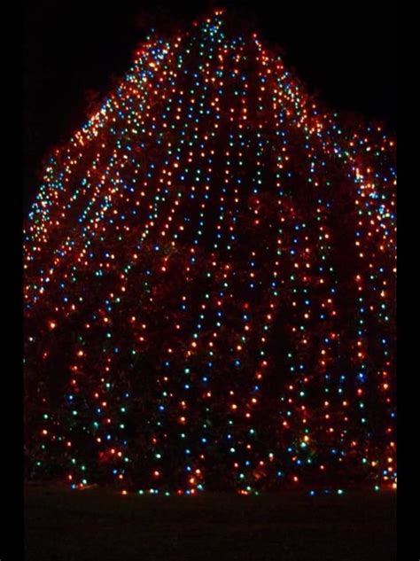 christmastree2018 – City of Marion, South Carolina