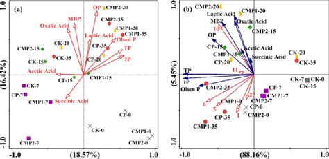 A Redundancy Analysis Rda Of The Correlation Between Bacterial