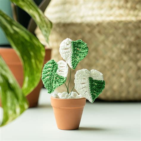 Tiny Crochet Variegated Monstera Handmade Crochet Plant Etsy